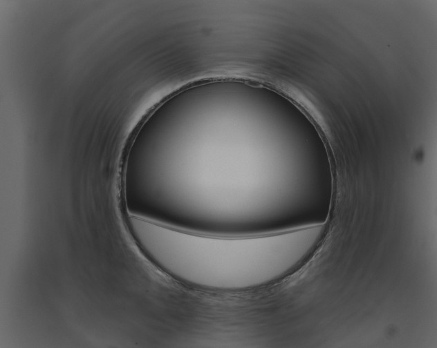 X0000091691093200708231125
