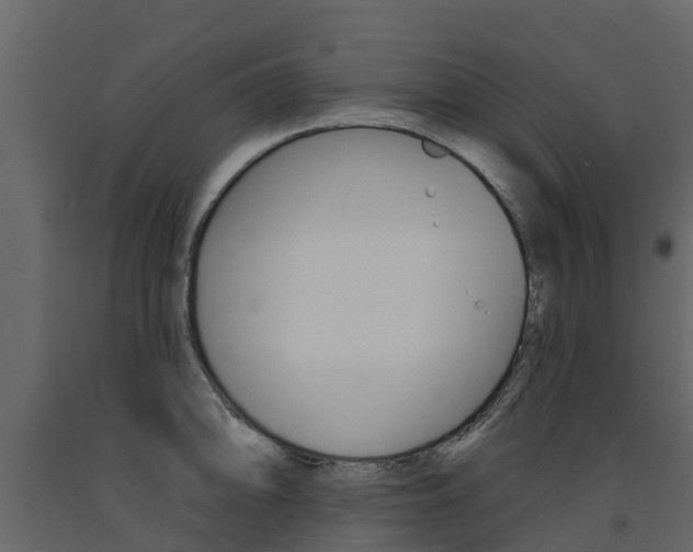 X0000091691094200708231125