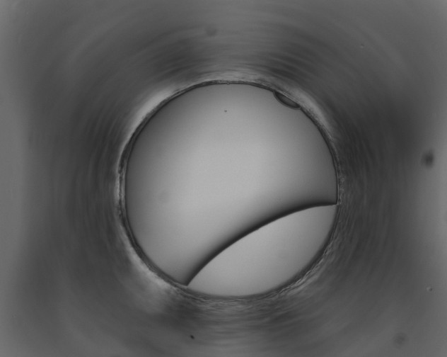 X0000091691095200708231125