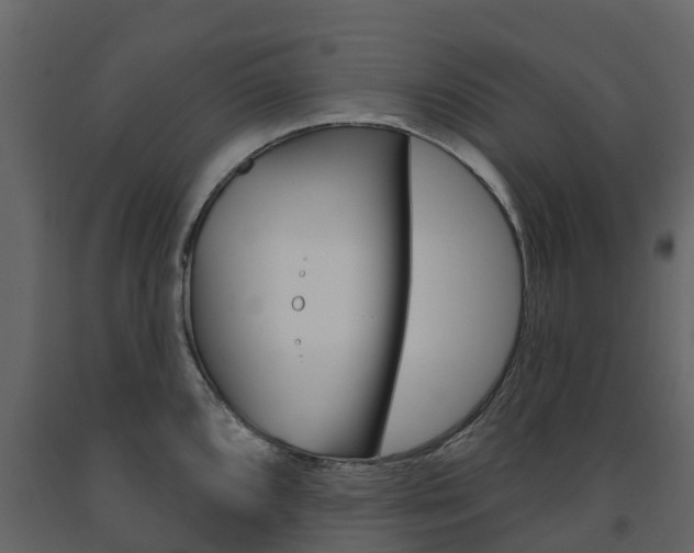 X0000091691096200708231125