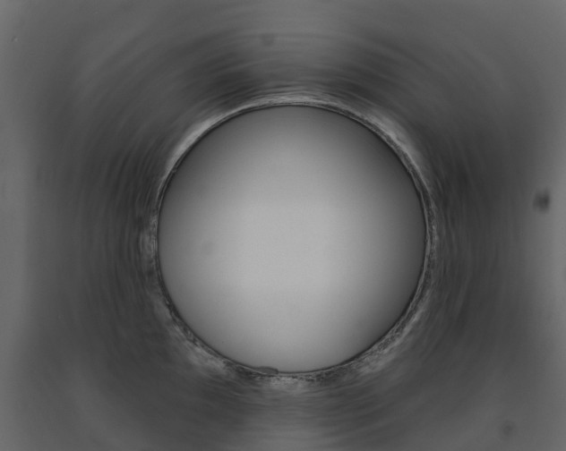 X0000091691097200708231125