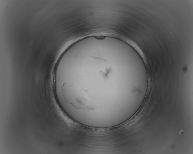 X0000091691099200708231125