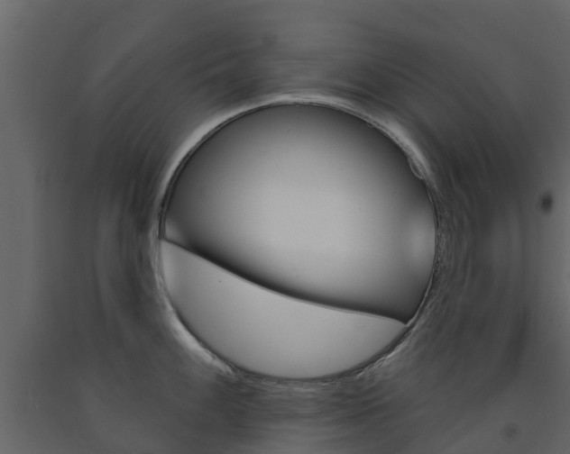 X0000091691100200708231125