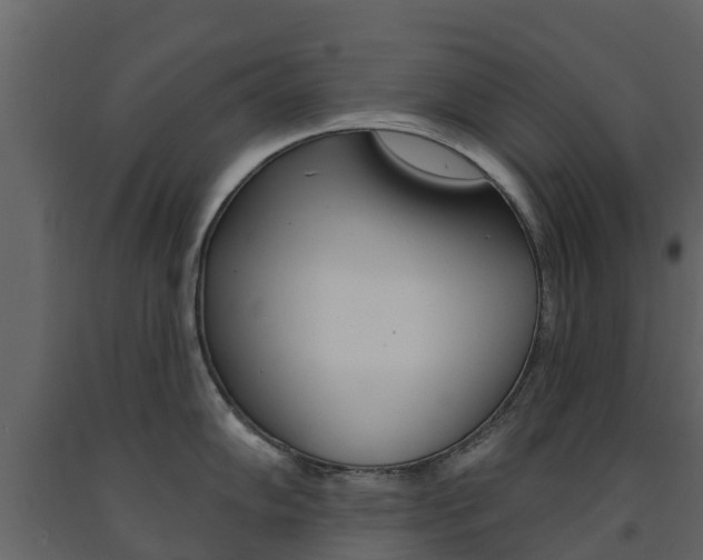 X0000091691102200708231125