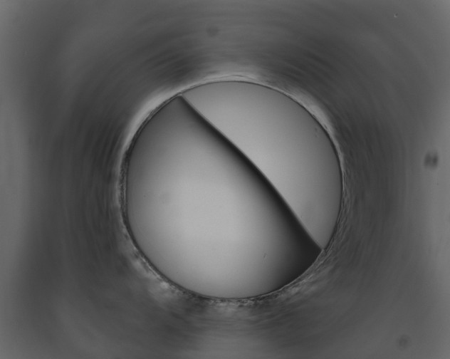 X0000091691104200708231125