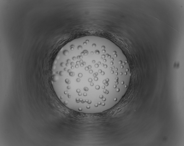 X0000091691105200708231124