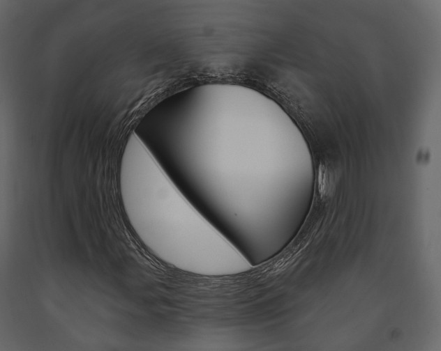 X0000091691107200708231124