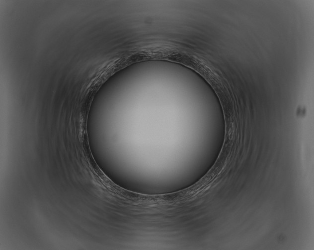 X0000091691108200708231124