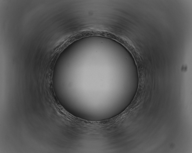 X0000091691110200708231124