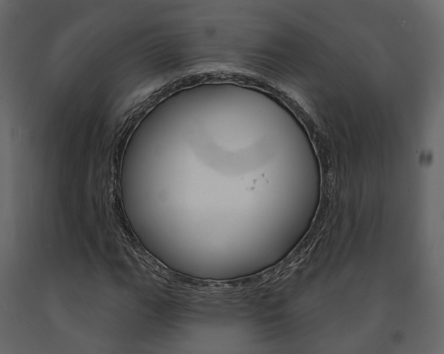 X0000091691111200708231124