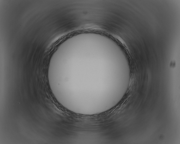 X0000091691112200708231124