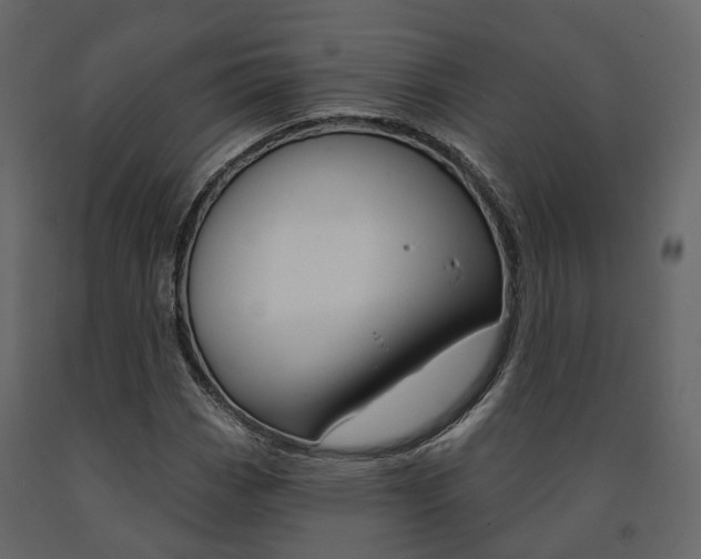 X0000091691113200708231124