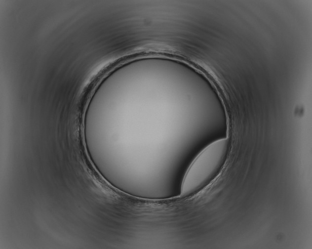X0000091691115200708231124