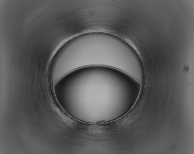 X0000091691116200708231124