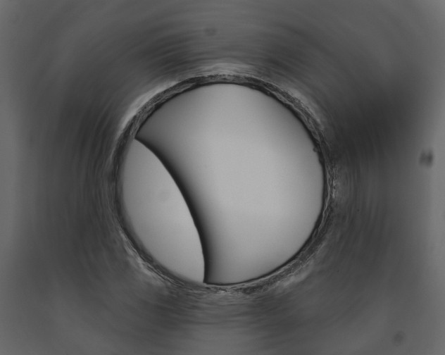 X0000091691117200708231124