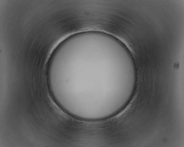X0000091691118200708231124