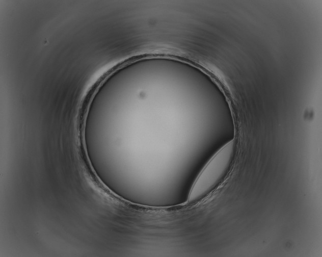 X0000091691120200708231124