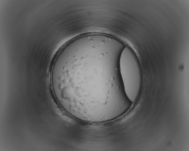 X0000091691125200708231124
