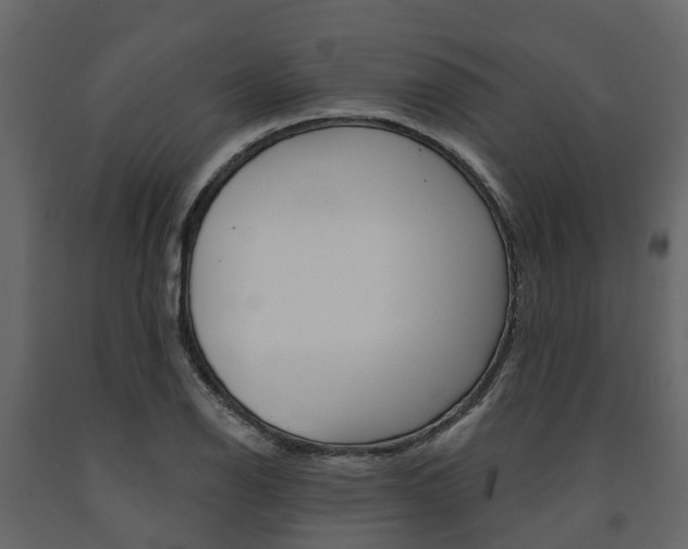X0000091691126200708231124