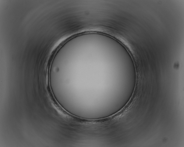 X0000091691127200708231124