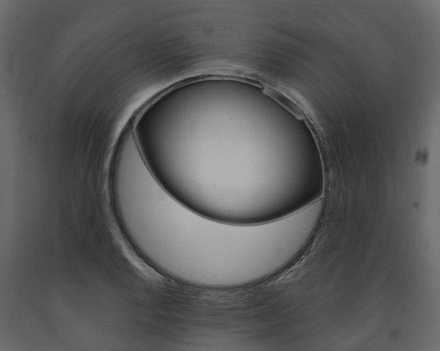 X0000091691128200708231124