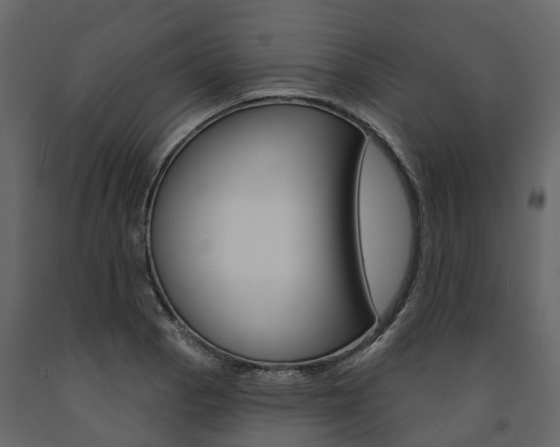 X0000091691129200708231124