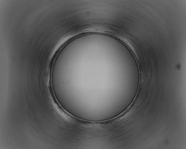 X0000091691131200708231124