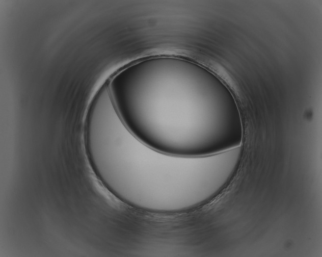 X0000091691132200708231124