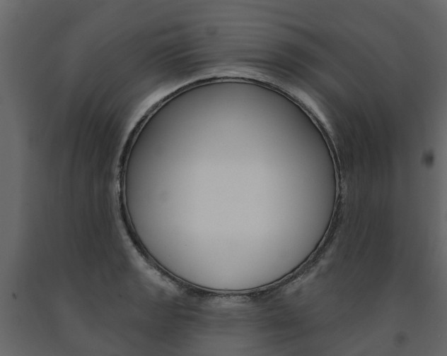 X0000091691133200708231125