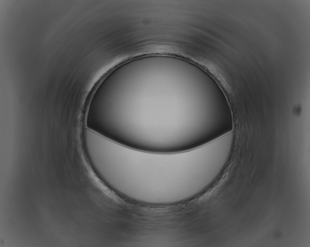 X0000091691134200708231125
