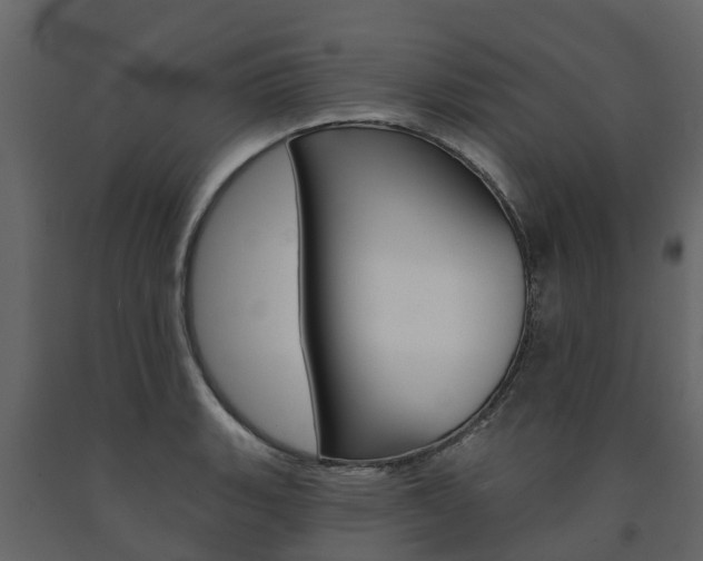 X0000091691135200708231125