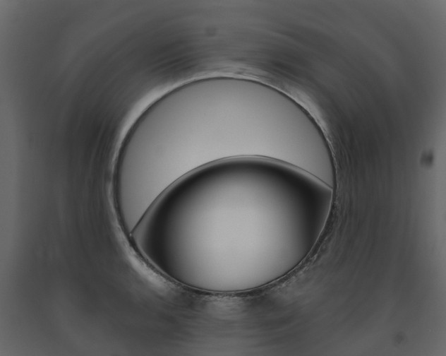 X0000091691136200708231125