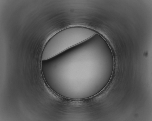 X0000091691137200708231125