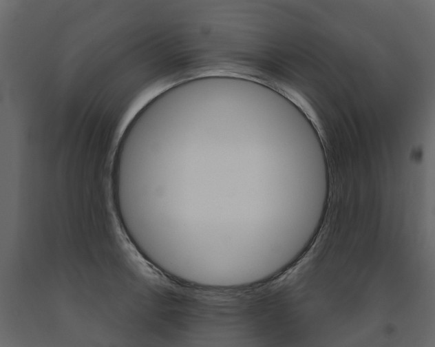 X0000091691138200708231125