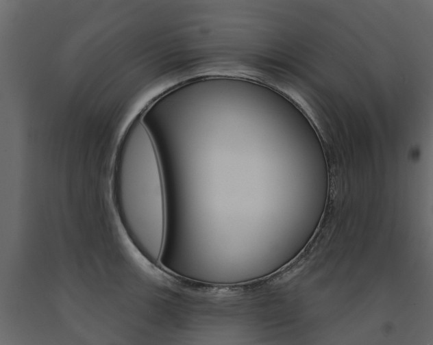 X0000091691139200708231125