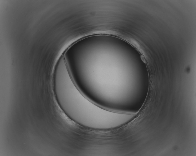 X0000091691140200708231125