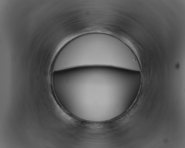 X0000091691141200708231125