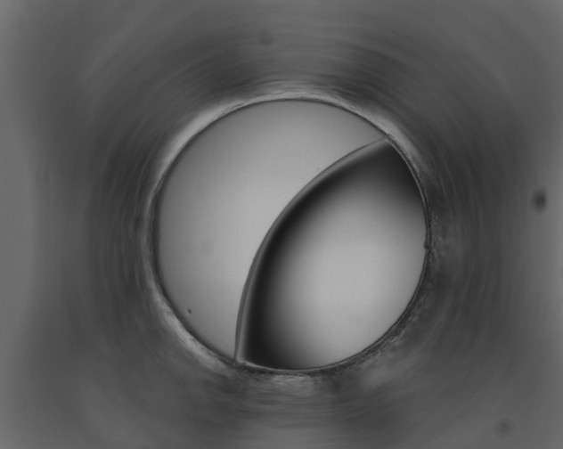 X0000091691142200708231125