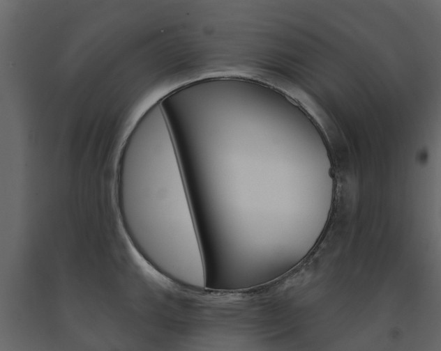 X0000091691143200708231125