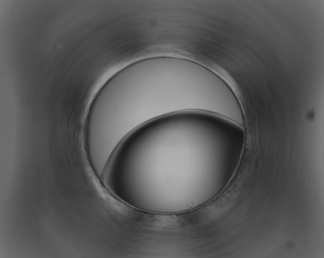 X0000091691144200708231125