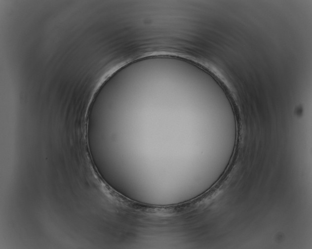 X0000091691145200708231125