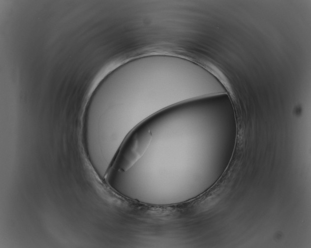 X0000091691146200708231125