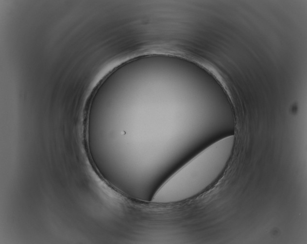 X0000091691147200708231125
