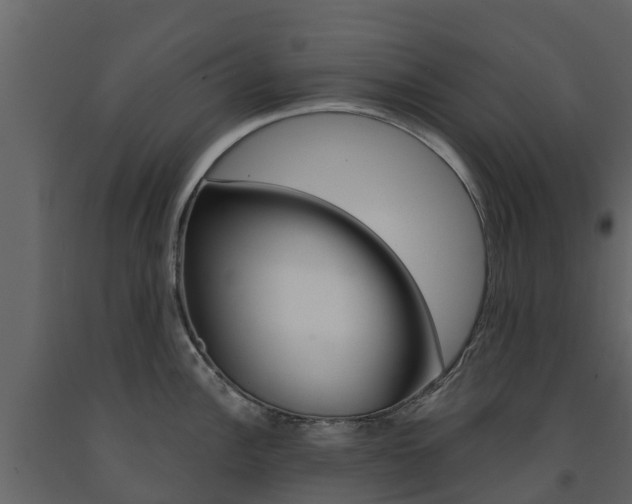 X0000091691148200708231125