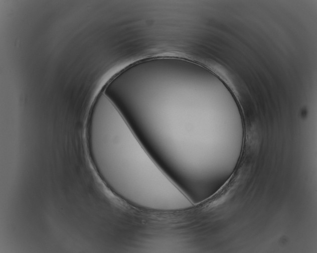 X0000091691149200708231125