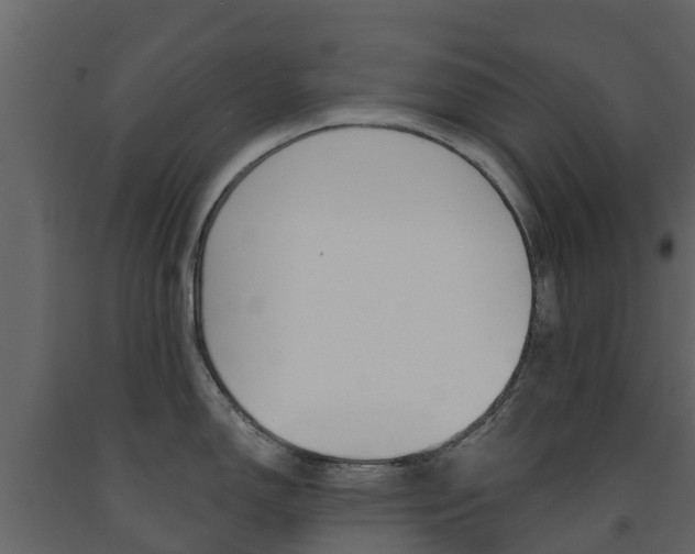 X0000091691150200708231125