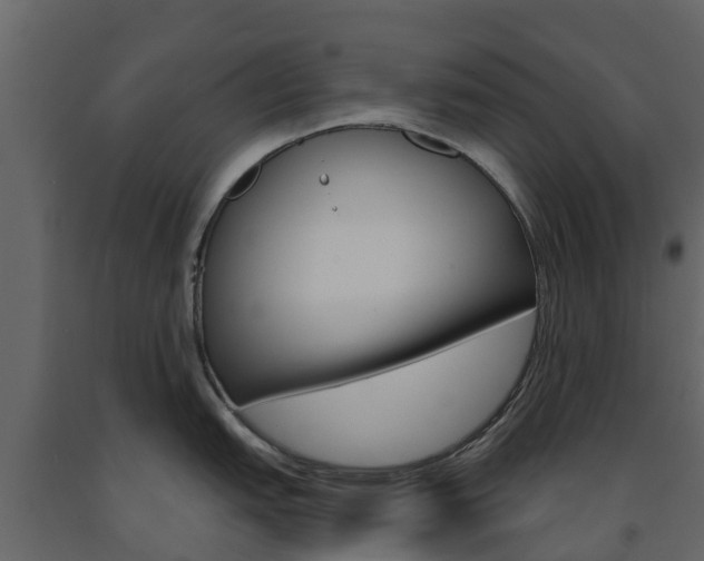 X0000091691151200708231125