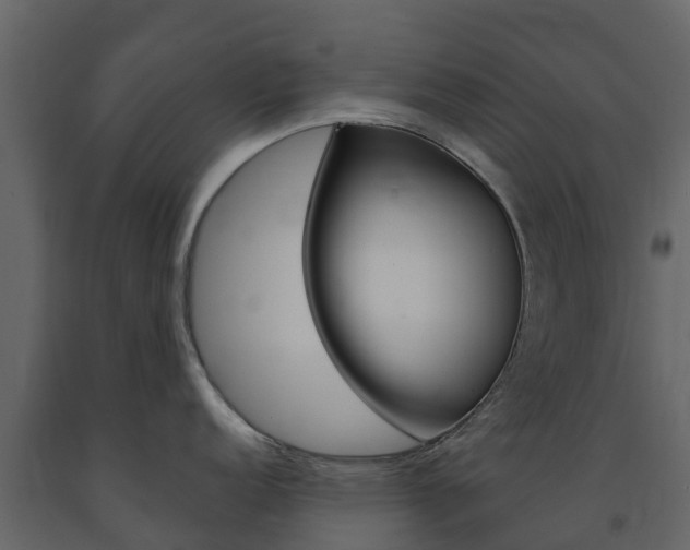 X0000091691152200708231125