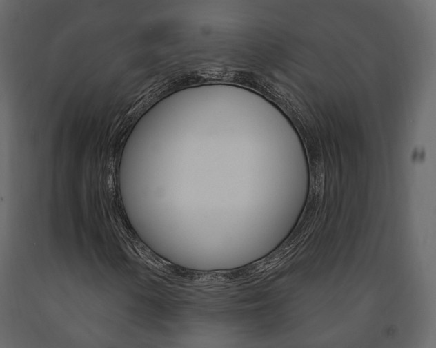 X0000091691154200708231124