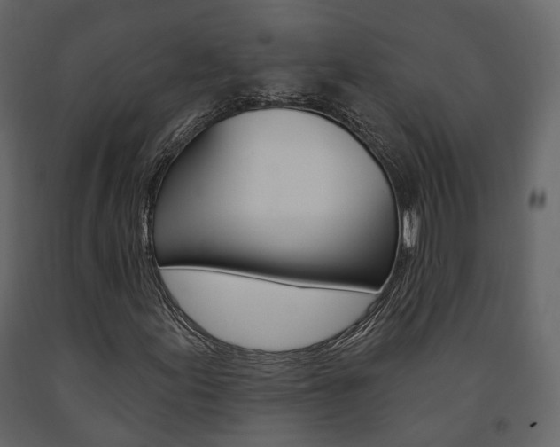 X0000091691155200708231124